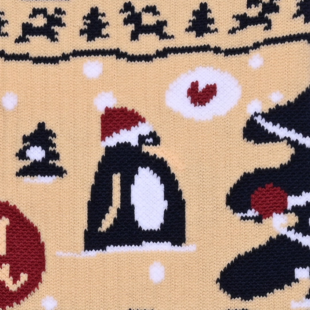 Chaussettes TRAIL ULTRA Xmas 2023 - Collector DBDB